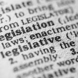 dictionary entry for the word legislation